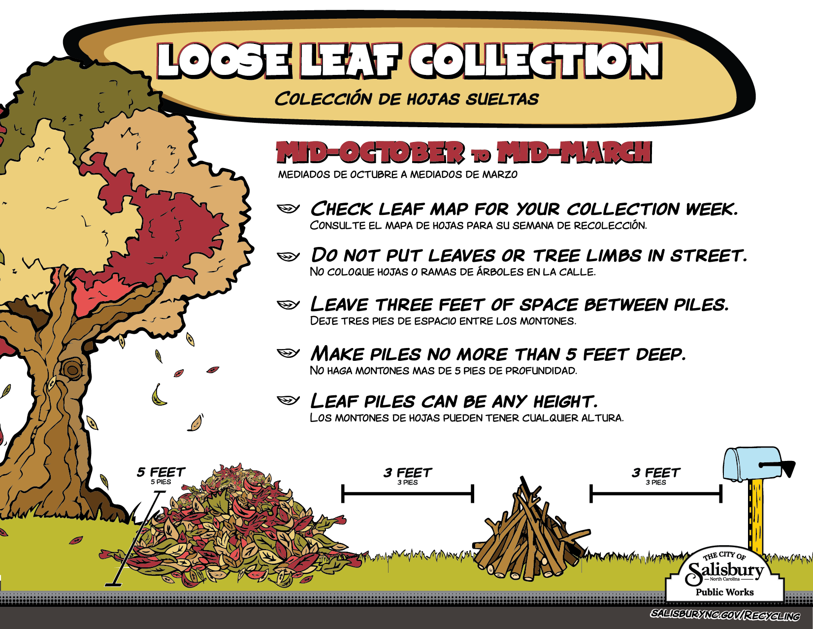 Leaf Collection Guidelines Infographic